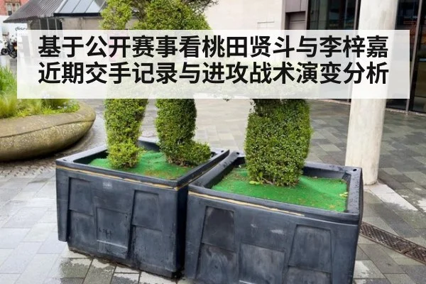 基于公开赛事看桃田贤斗与李梓嘉近期交手记录与进攻战术演变分析